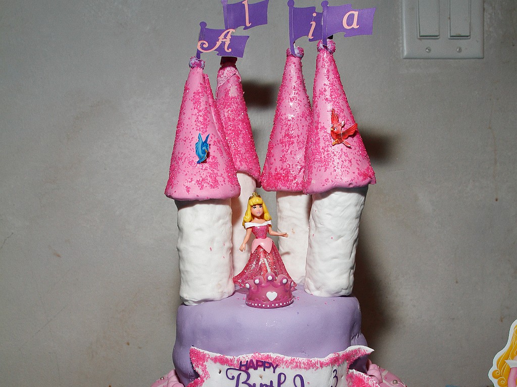 Alia's First Birthday