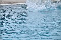 IMG_3390