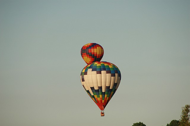 IMG_8802.JPG