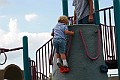 IMG_8779