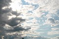 IMG_8790