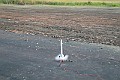 IMG_8879
