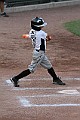IMG_3479