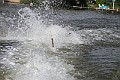 IMG_4354