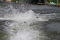 IMG_4355