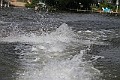 IMG_4356