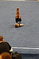_MG_2460