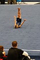_MG_2524