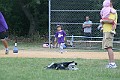 IMG_6397