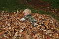 IMG_5746