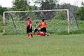 _MG_2484