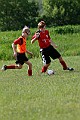 _MG_2503