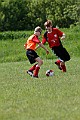 _MG_2507