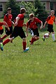 _MG_2521
