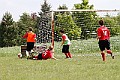 _MG_2595