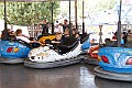 _MG_4526