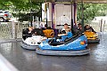 _MG_4537