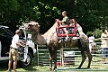 IMG_8043