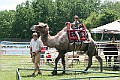 IMG_8047