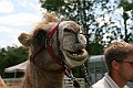 IMG_8049