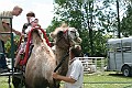 IMG_8054
