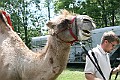 IMG_8055