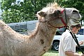 IMG_8056