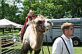 IMG_8058