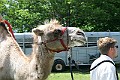 IMG_8059