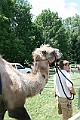 IMG_8060