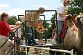 IMG_8066