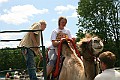 IMG_8067