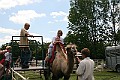 IMG_8068