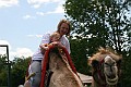 IMG_8069