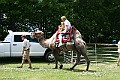 IMG_8076