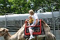 IMG_8078