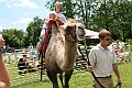 IMG_8083
