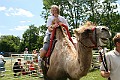 IMG_8084