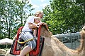 IMG_8088