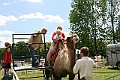 IMG_8091