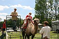 IMG_8094