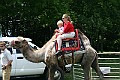 IMG_8102