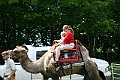 IMG_8103