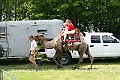 IMG_8105