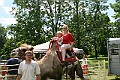 IMG_8110