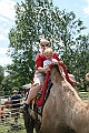 IMG_8114