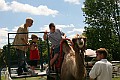 IMG_8117