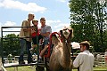 IMG_8118
