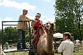 IMG_8119