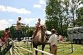 IMG_8121